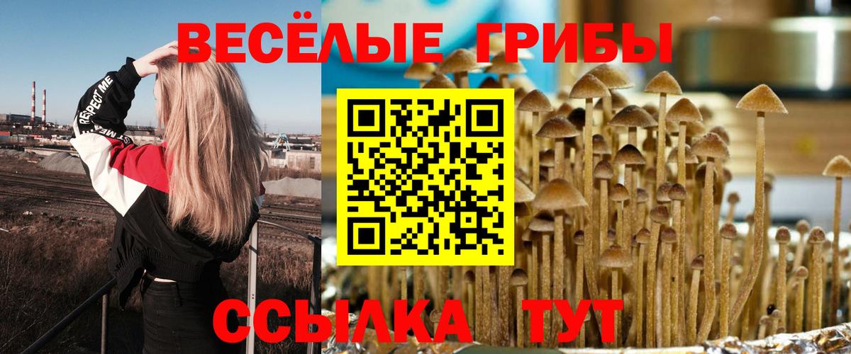Мефедрон  Вход с VPN  MDMA  Меф   ГАШИШ  Гашиш  Менделеевск  А ПВП СОЛЬ кристаллы  Бошки Шишки  ЭКСТАЗИ 