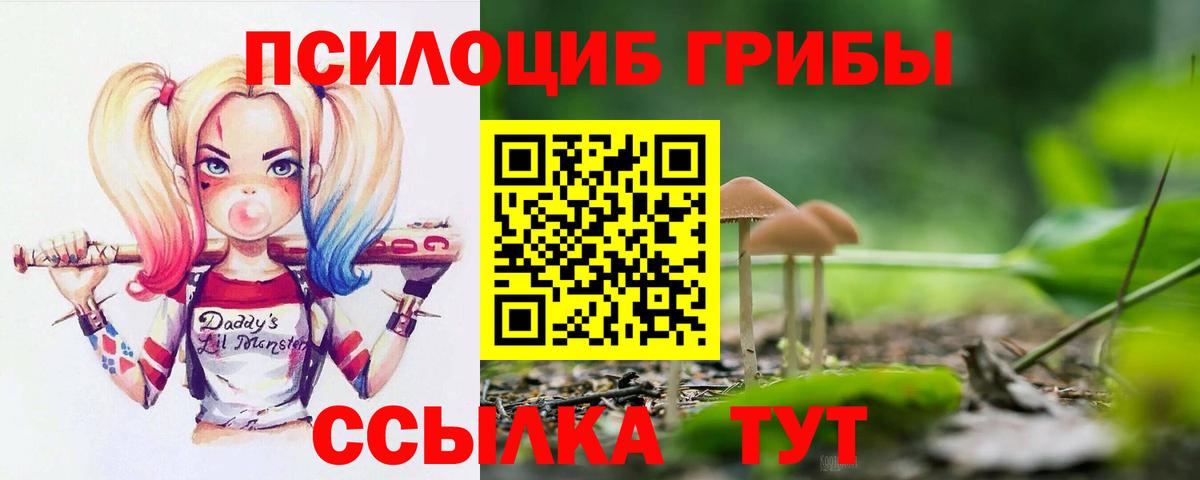 Галлюциногенные грибы ЛСД  Вход с VPN  Галлюциногенные грибы прущие грибы  Менделеевск 